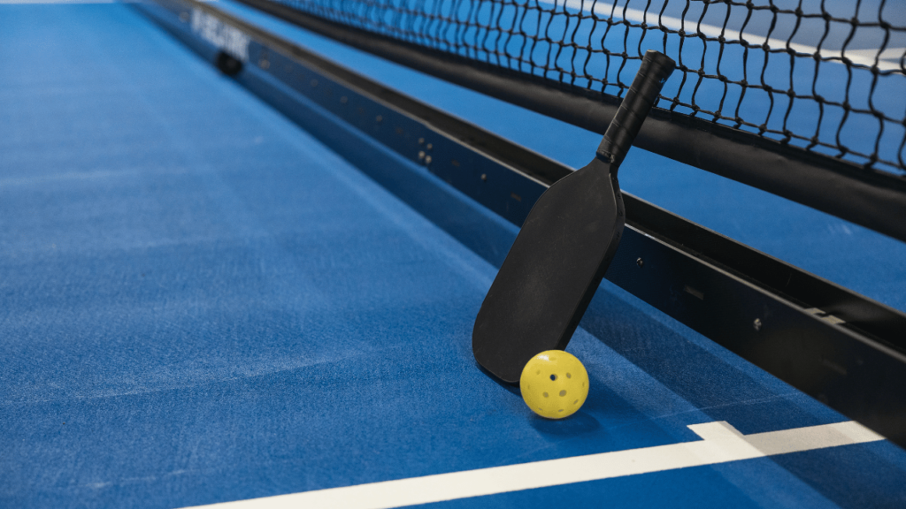Pickleball guides by experts
